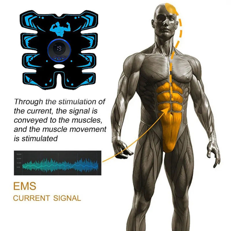 MS Abdominal Muscle Stimulator™️- Sculpt and tone your core